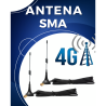 Antemna 4G/3G, Vehículo x Par